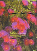 LAMPRANTHUS (ЛАМПРАНТУС) 2 LAMPRANTHUS (ЛАМПРАНТУС) | 1