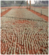 HOODIA (ХУДИЯ) 7 HOODIA (ХУДИЯ) | 5