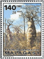ADANSONIA (БАОБАБ) 8 Madagascar