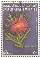 LAMPRANTHUS (ЛАМПРАНТУС) 8 Описание: Emirats Arabes Unis