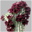 HOODIA (ХУДИЯ) 9 HOODIA (ХУДИЯ) | 7