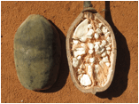 ADANSONIA (БАОБАБ) 18 ADANSONIA (БАОБАБ) | 14