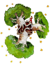 ADANSONIA (БАОБАБ) 20 baobab - the little prince