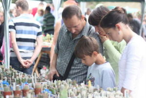 ПРОШЛОЕ И НАСТОЯЩЕЕ КАКТУСОВОДСТВА УКРАИНЫ. Часть III