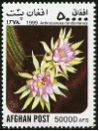 ARTHROCEREUS (АРТРОЦЕРЕУС) | 3