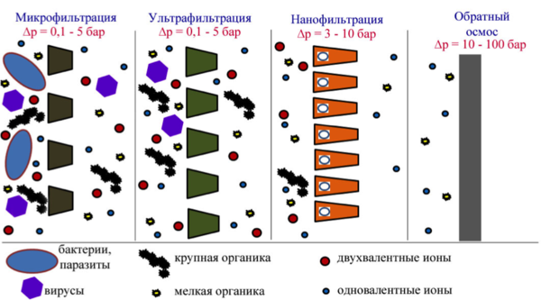 КОРРЕКЦИЯ СВОЙСТВ ВОДЫ 12 КОРРЕКЦИЯ СВОЙСТВ ВОДЫ | 12