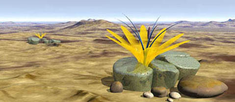«ЖИВЫЕ КАМНИ» 1 Futuristic Lithops, by Nigel Pickering