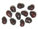 CARNEGIEA (КАРНЕГИЯ) 7 CARNEGIEA (КАРНЕГИЯ) | 6