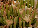 dscn2091.jpg
