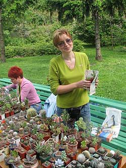 КИЕВСКИЕ ВЫСТАВКИ В БОТСАДУ ФОМИНА | 4