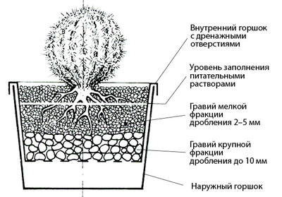 НЕСТАНДАРТНЫЕ СУБСТРАТЫ ДЛЯ ВЫРАЩИВАНИЯ СУККУЛЕНТОВ | 1