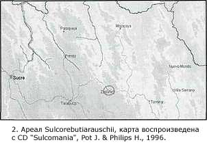 МАЛЕНЬКИЙ, ЭФФЕКТНЫЙ И ОЧЕНЬ ПРИВЛЕКАТЕЛЬНЫЙ КАКТУС Sulcorebutia rauschii G. Frank | 1