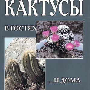 КАКТУСЫ В ГОСТЯХ И ДОМА