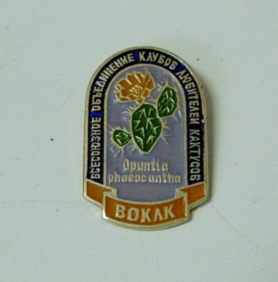 Значок Opuntia phaeacantha