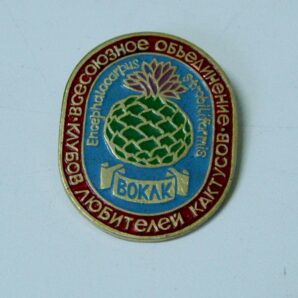 Значок Encephalocarpus strobiliformis