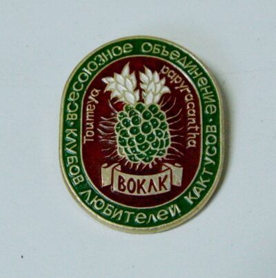 Значок Toumeya papyracantha