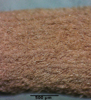 поверхня тести A. arabicum