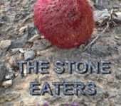 Дэга Панко "Stone eaters"