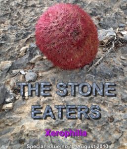“Едят” ли кактусы камни? Часть 2 1 Дэга Панко "Stone eaters"