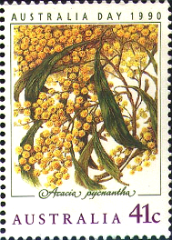 Acacia pycnantha