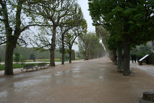 БОТАНИЧЕСКИЙ САД JARDIN DES PLANTES (ПАРИЖ, ФРАНЦИЯ) | 15