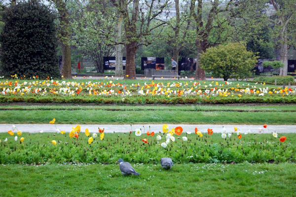 БОТАНИЧЕСКИЙ САД JARDIN DES PLANTES (ПАРИЖ, ФРАНЦИЯ) | 2