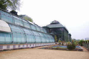 БОТАНИЧЕСКИЙ САД JARDIN DES PLANTES (ПАРИЖ, ФРАНЦИЯ)