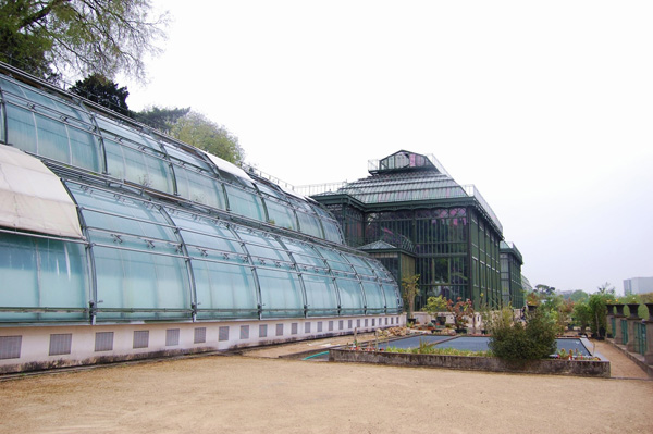 БОТАНИЧЕСКИЙ САД JARDIN DES PLANTES (ПАРИЖ, ФРАНЦИЯ) | 4