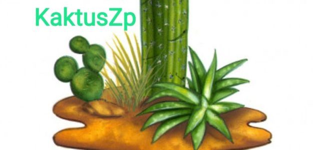 KaktusZp