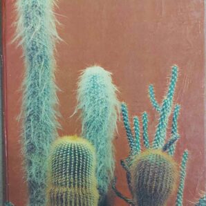 Д.Н. Широбокова, М.Р. Корольова, О.Н. Голодняк КАКТУСЫ