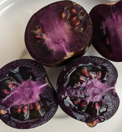 Ультра нове насіння томатів Purple