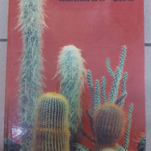 Д.Н. Широбокова, М.Р. Корольова, О.Н. Голодняк КАКТУСЫ